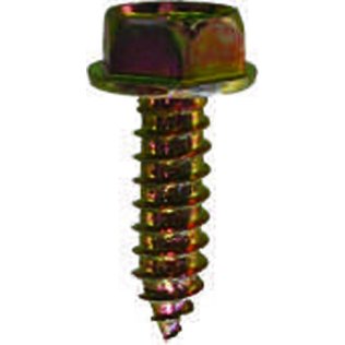 Phillips Hex Head License Plate Screw - M6 Diameter; 20mm Length (50 per pack)