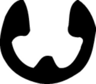 Retaining Ring, External E-Type, Steel, Black Phosphate Finish, 1/8" Shaft Diameter (Pack of 50)